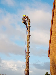 Photo n°10 de Arbre & Vert à Dunkerque (Service d'élagage)