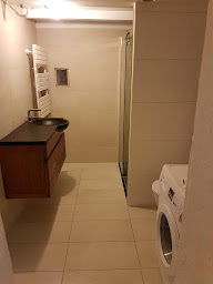 Photo n°2 de Sphère d'ô à Auzouer-en-Touraine (Plombier)