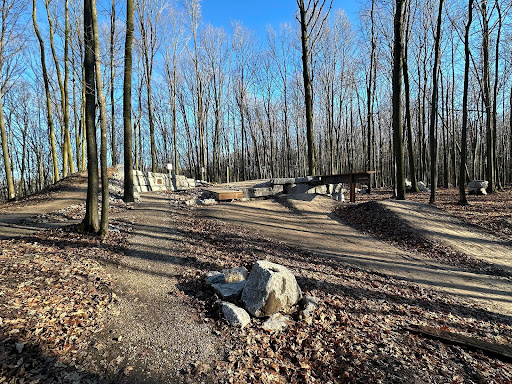 Boyne Forest Trail