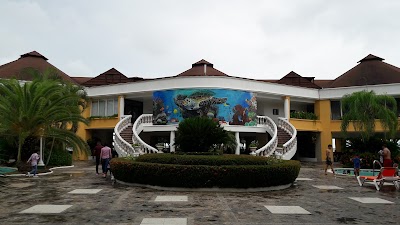 Photos of Villa, Palma Real