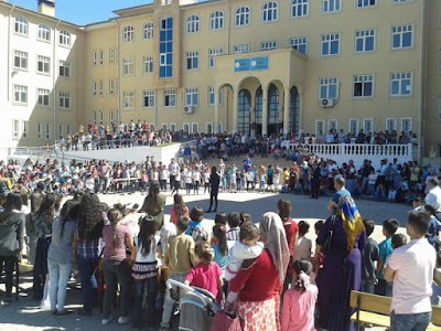 school