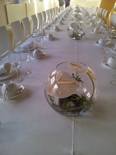 Cercis Taller de Arte Vegetal Gallery - Spain