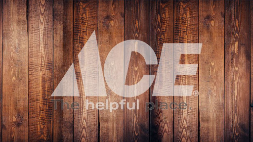 Moison Ace Hardware - Visual
