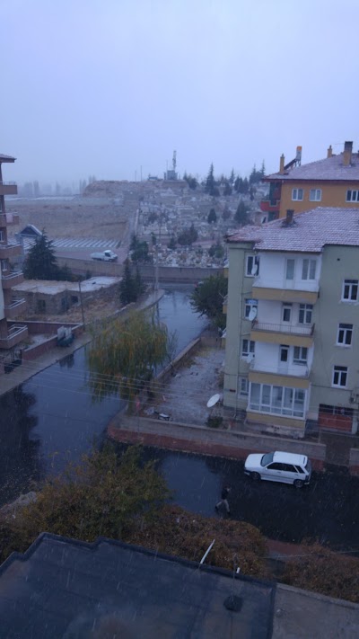 Photos of G&ouml;rkemli Tekel Kuruyemiş