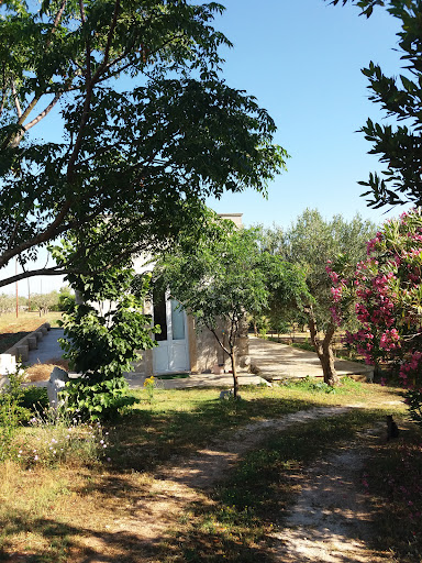 Shivananda Garden - Visual
