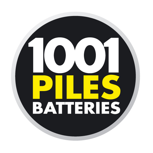 1001 Piles Batteries