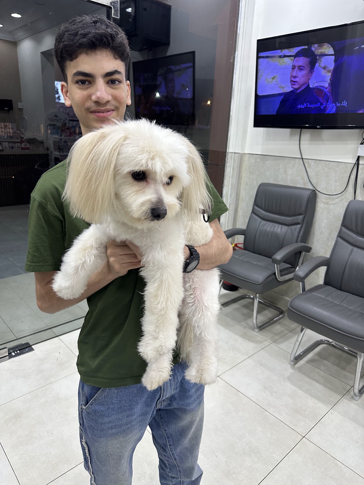 Pretty pet clinic عيادة الأليف الجميل البيطرية - صورة 3