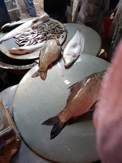 Photos of Park Bazar