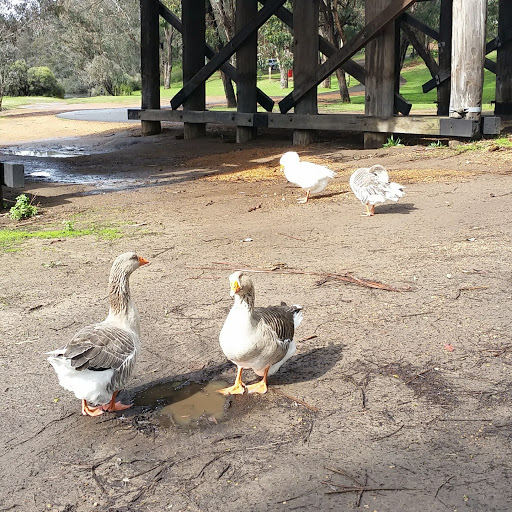 Blackwood River Park Gallery - Australia