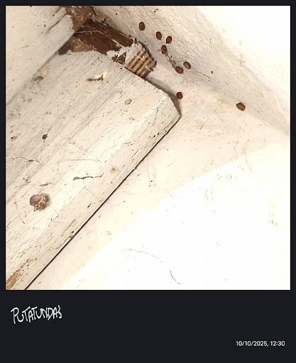 Gallery image 106