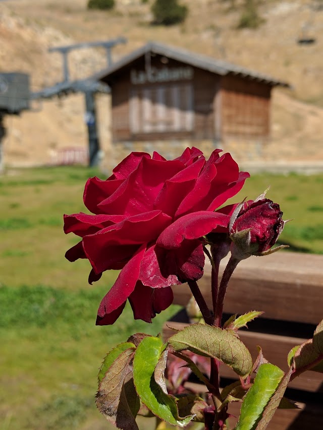La Cabane du Chef