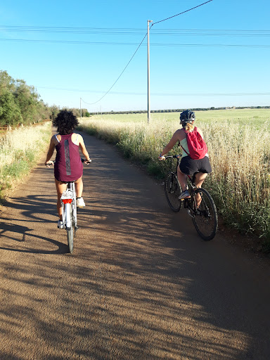 ApuliaBikeFriend - Visual