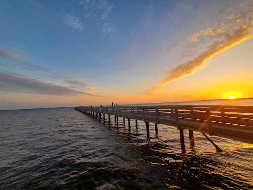 Bayshore Live Oak Park - Thumbnail