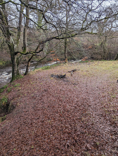 Billy's Bog - Thumbnail