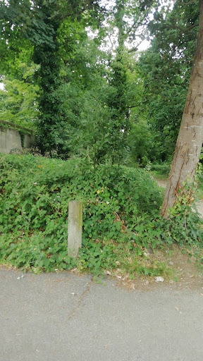 Le Parc De La Gréneraie - Thumbnail