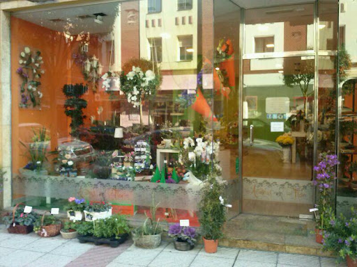 floristeria aromas en flor - Thumbnail