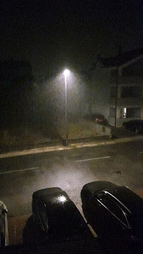 Broj telefona Meduza