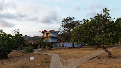 Photos of Campismo Calet&oacute;n Blanco