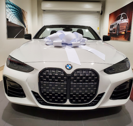 Bert Smith BMW - Visual