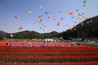たんとうチューリップまつり