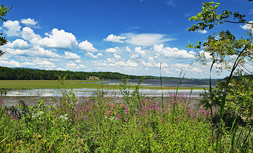 Saugerties Lighthouse Gallery - United States
