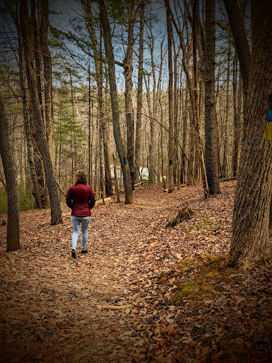 Little Mountain Falls Trail - Thumbnail