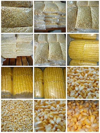 Photos of Jagung Manis Pipil