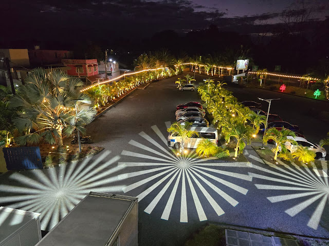 Royal Avenue Mauritius by null