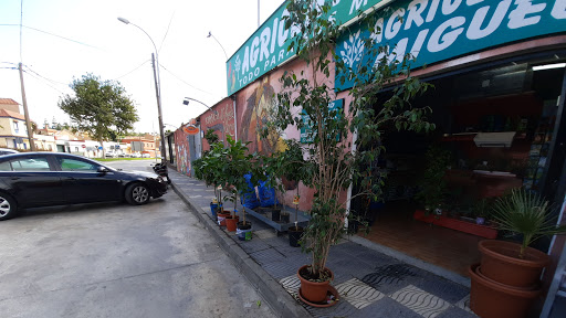 Agricentro Miguel
