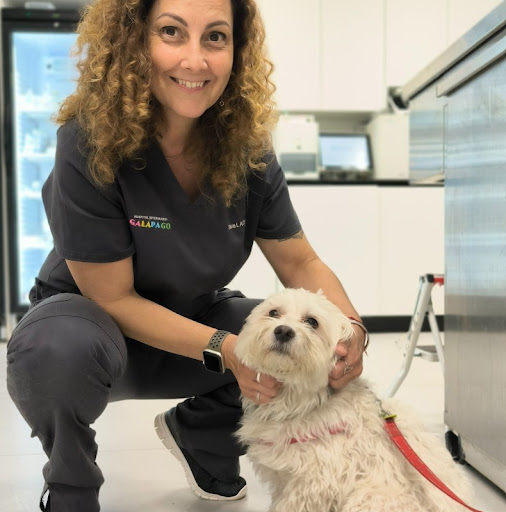 Hospital Veterinario Galápago