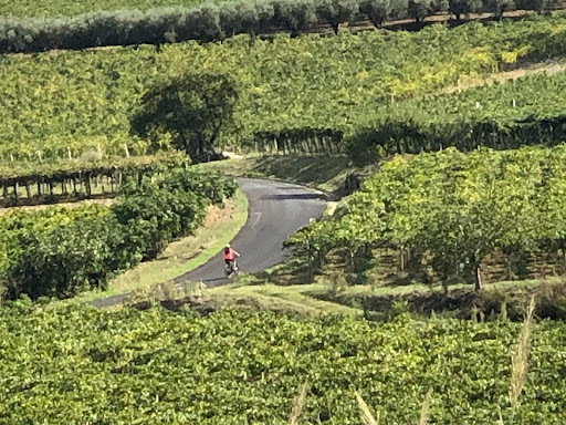 Comune Di Villalfonsina