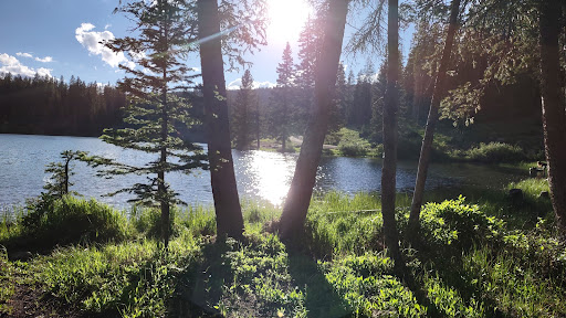 Cobbett Campground - Thumbnail