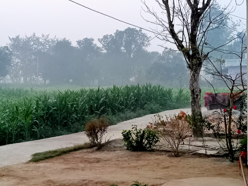 Gallery image 10