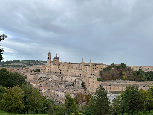 urbino free park and photo shot