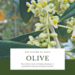 Photo n°6 de Cécile GRANDJEAN - Naturopathe-Réflexologue à Chambéry (Naturopathe)