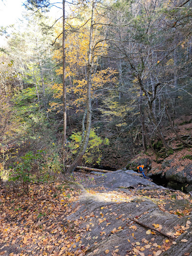 Enders State Forest - Thumbnail