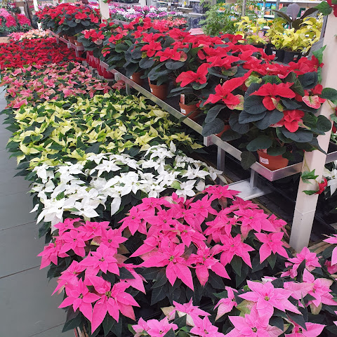 Cowell's Garden Centre by null