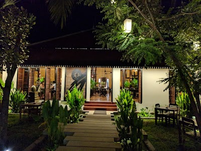 Photos of The Sugar Palm