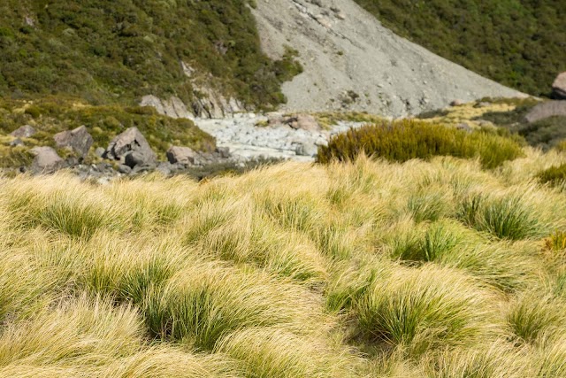 Hooker Valley track