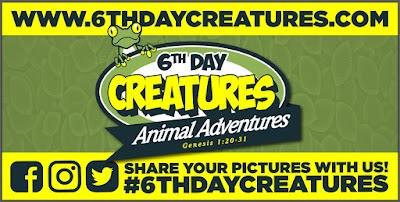 6th Day Creatures Animal Adventures