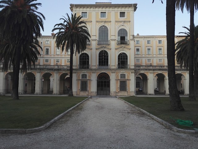 Accademia Nazionale dei Lincei