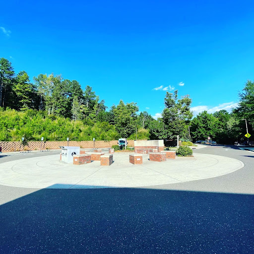 Friends of Chapel Hill Public Library - Thumbnail
