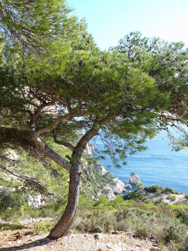 Calanque de Sugiton