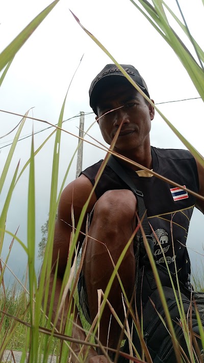 Photos of Dendang port Belitung