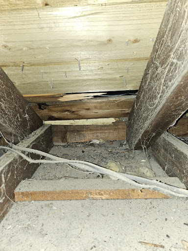 Sterling Roofing Services Annan - Roofer Annan - Thumbnail