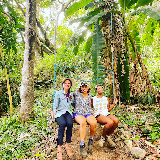 Big Island Farms - Thumbnail