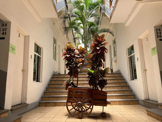 Hotel Italia by null