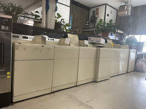 101 Laundromat & Dry Cleaners - Thumbnail