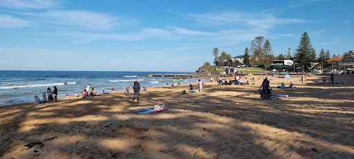 Collaroy Fish and Chips - Thumbnail