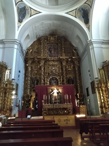 Cedros centenarios - Thumbnail
